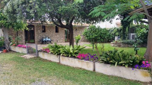 Agroturismo Agriturismo L'albatro