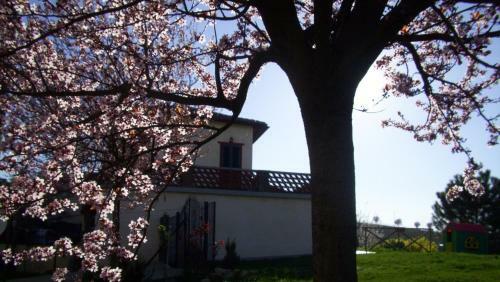Bed & Breakfast L'antico Fienile