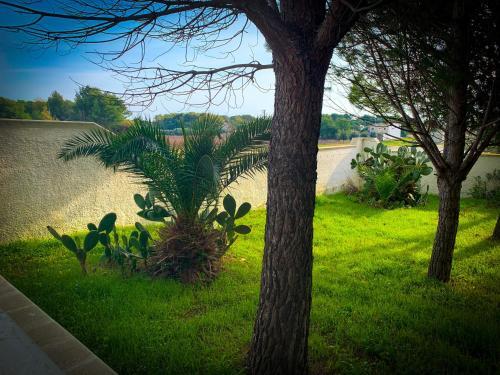 Apartamento Villa Bagnara