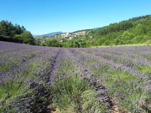 Gite Dentelles