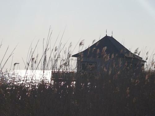 Bnb Seaview