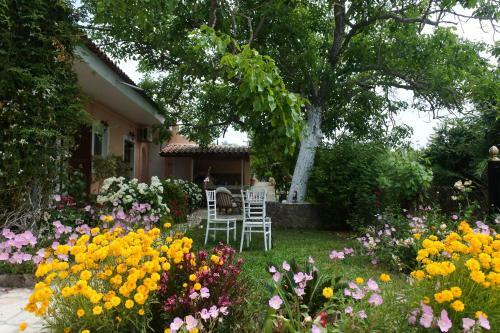 Apartamento Mina's Serene Garden House