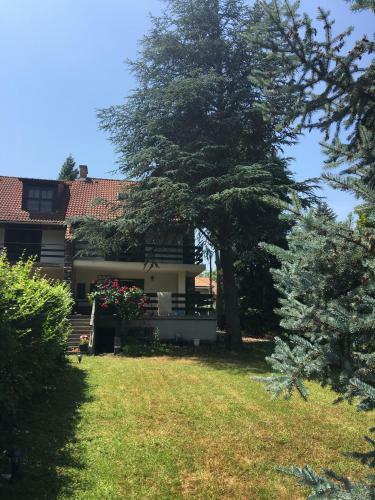 C�drus Apartman