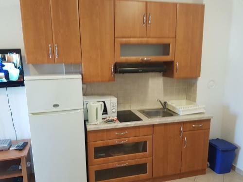 Apartments Vrtlici