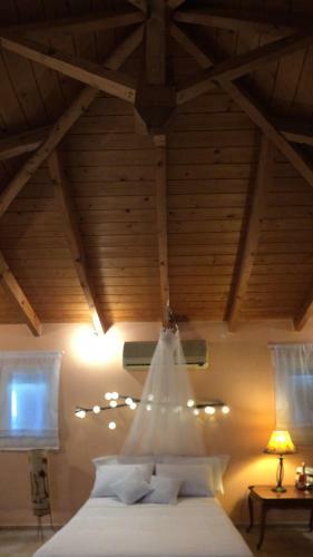 Wooden Roof Apartment