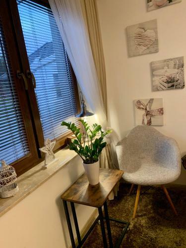 Apartamenty"pod Wiatrakiem"