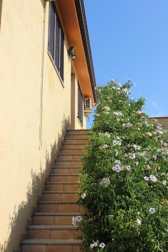 Agroturismo Agriturismo L' Agrumeto