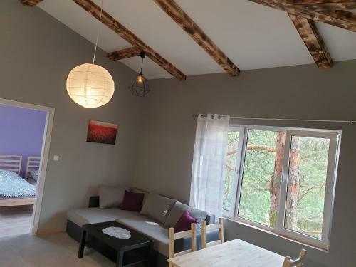 Apartamento Mieszkanie Pod Sosnami 2