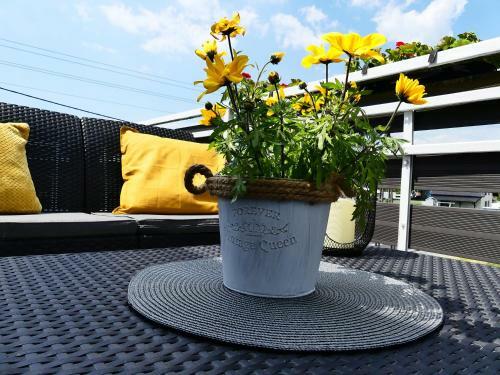 Apartament Jutrzenka
