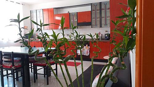 Apartamento Graziella
