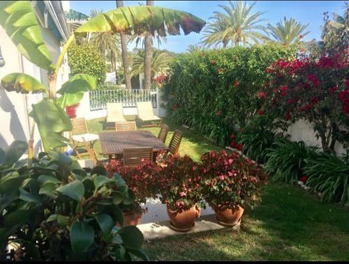 Oasis Club Beach Villa