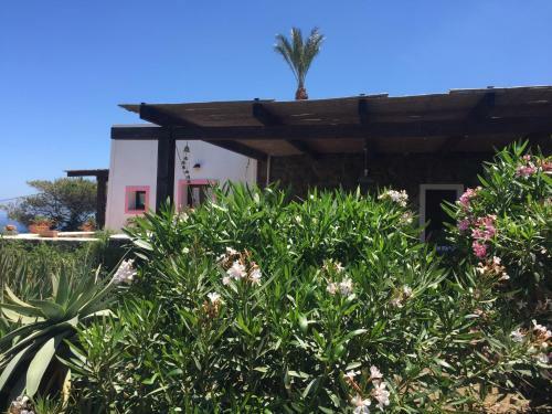 Agroturismo Dammusi Matilde