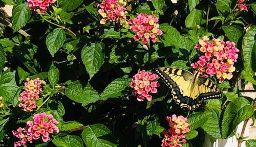 La Casedda Del Nonno Cavamonti