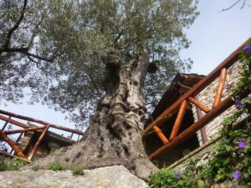 Bed & Breakfast Rocca Del Vento