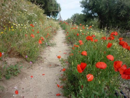Bed & Breakfast Rocca Del Vento