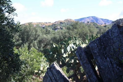 Bed & Breakfast Rocca Del Vento