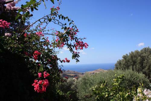 Bed & Breakfast Rocca Del Vento
