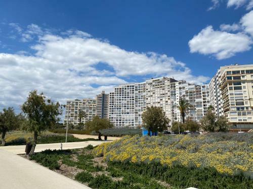 Apartamento Estudio St Domingo II 1