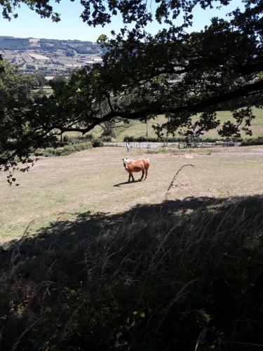 Agroturismo Village.insolite