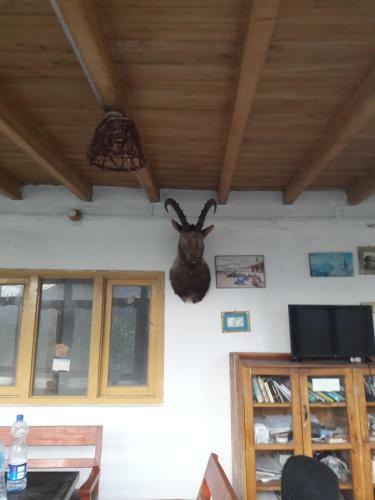 Hotel Tourist Cottage Hunza