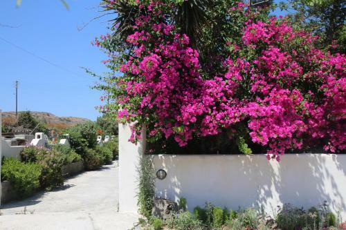 Apartamento Pension Ioanna
