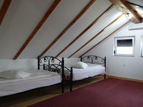 Hostal Pensiunea Lacul Albesti