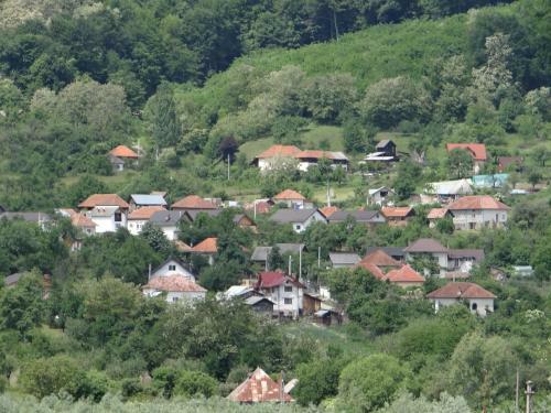 Hostal Pensiunea Lacul Albesti