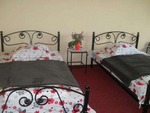 Hostal Pensiunea Lacul Albesti