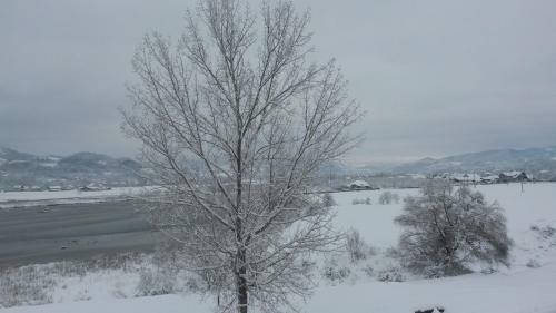 Hostal Pensiunea Lacul Albesti
