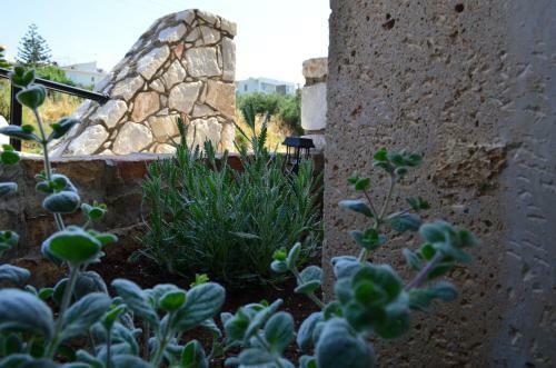 Mv House Agia Marina