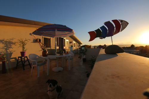 Bed & Breakfast La Sirena
