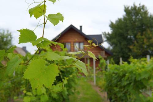 Agroturismo Dom Pachnacy Zywica