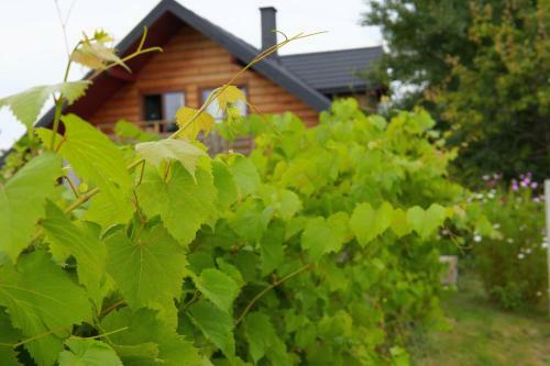 Agroturismo Dom Pachnacy Zywica
