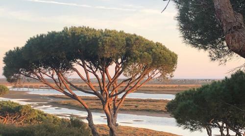 Apartamento Victory Village, Quinta Do Lago