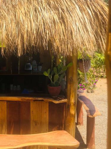 Casa Manglar Popoyo