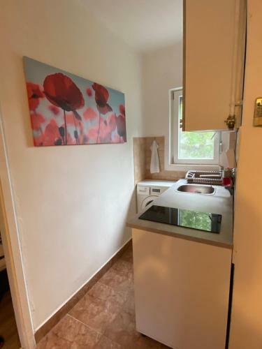 Apartamento Turul Residence