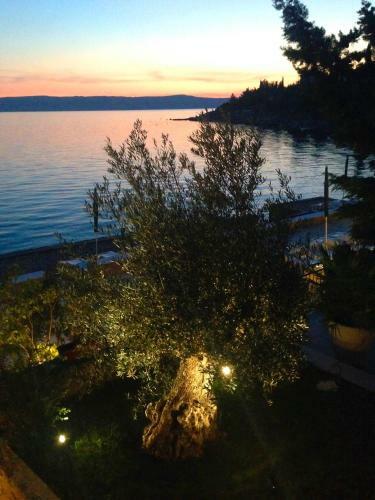 Hostal Apartmani Ribarica****