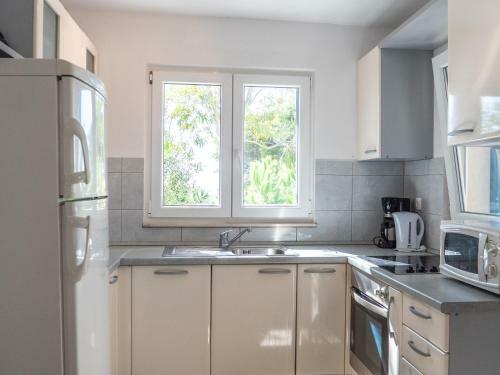 Apartment Branka