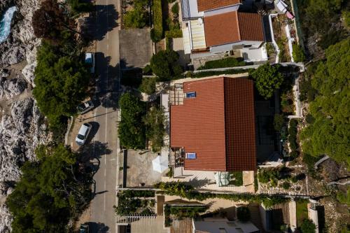 Apartment Branka