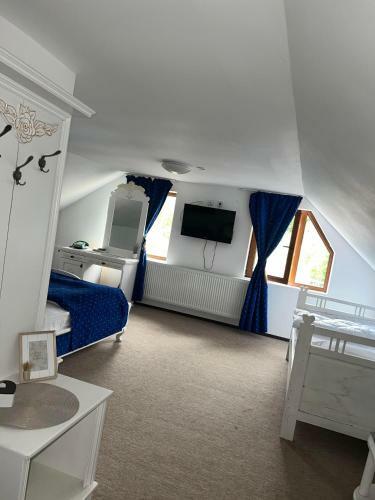 Hostal Pensiunea Domeniul Regal