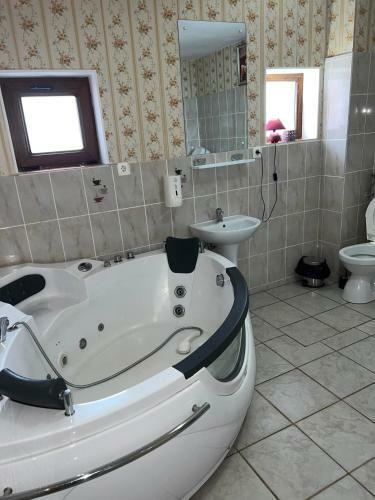 Hostal Pensiunea Domeniul Regal