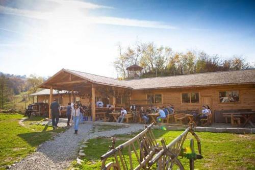 Hostal Pensiunea Domeniul Regal