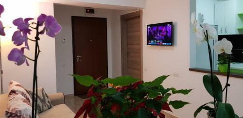 Happy Flowers Apartament