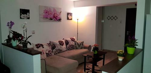 Happy Flowers Apartament