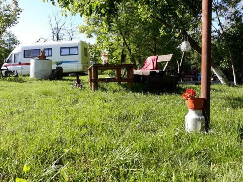 Camping In Clisura Dunarii