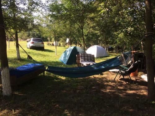 Camping In Clisura Dunarii