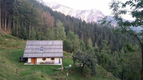 Glamping Apartment Oasis Of Peace