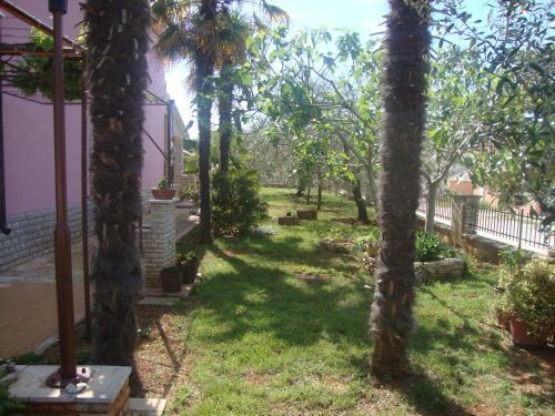 Comfortable Apartments In Peroj Near The Sea