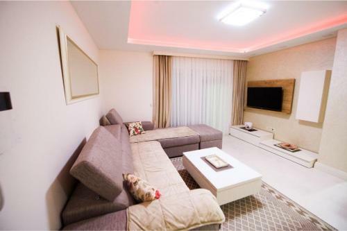 Promajna Leone Marija Apartments