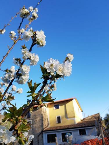 Apartamento Le Quattro Pietre